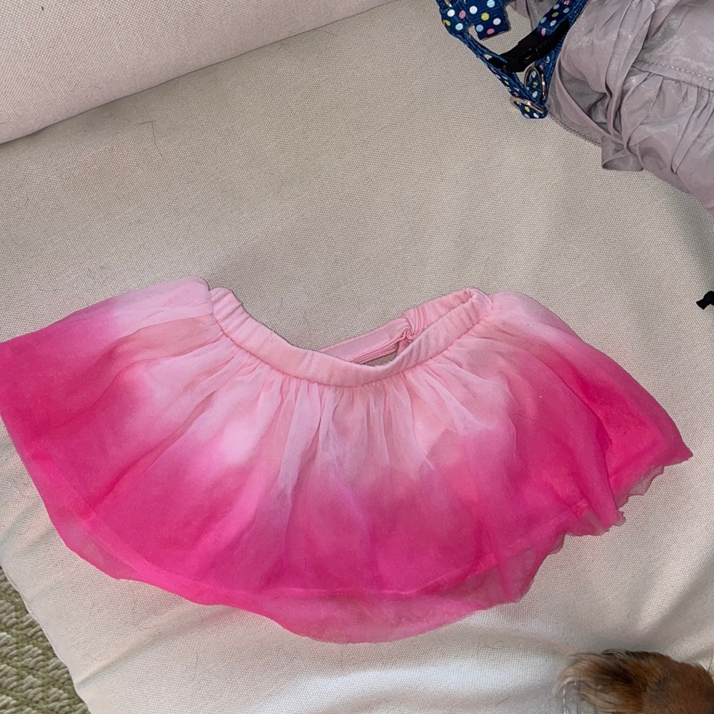 Xsmall tutu and harness